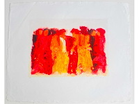 Wil willemsen - kleurenzeefdruk - afbeelding 4 van  10