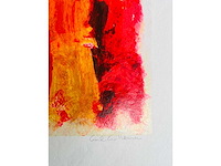 Wil willemsen - kleurenzeefdruk - afbeelding 5 van  10