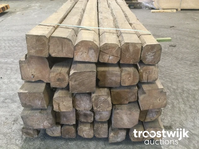 Wilde teak palen - afbeelding 4 van  11