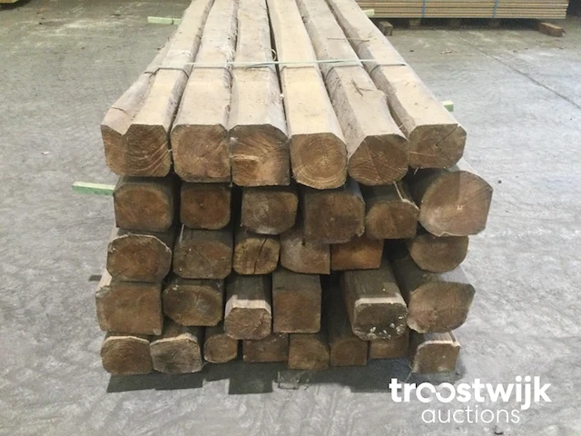 Wilde teak palen - afbeelding 9 van  11