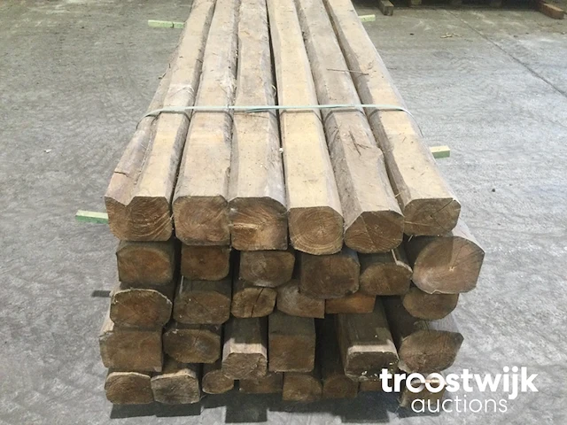 Wilde teak palen - afbeelding 11 van  11