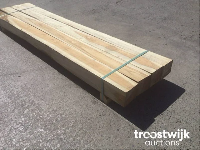 Wilde teak palen - afbeelding 1 van  6