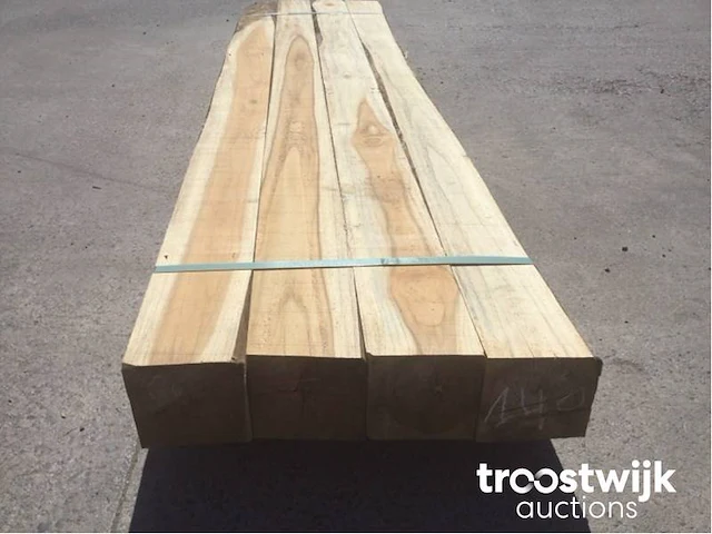 Wilde teak palen - afbeelding 2 van  6