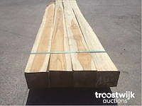 Wilde teak palen - afbeelding 2 van  6