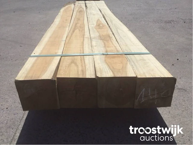 Wilde teak palen - afbeelding 3 van  6