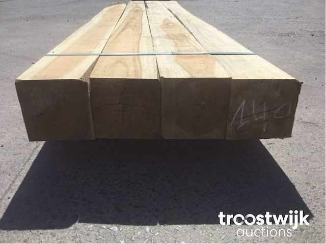 Wilde teak palen - afbeelding 4 van  6
