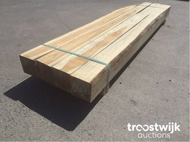 Wilde teak palen - afbeelding 5 van  6