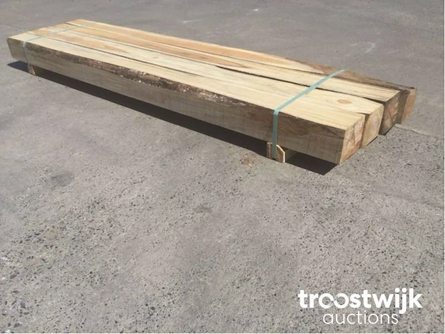 Wilde teak palen - afbeelding 6 van  6