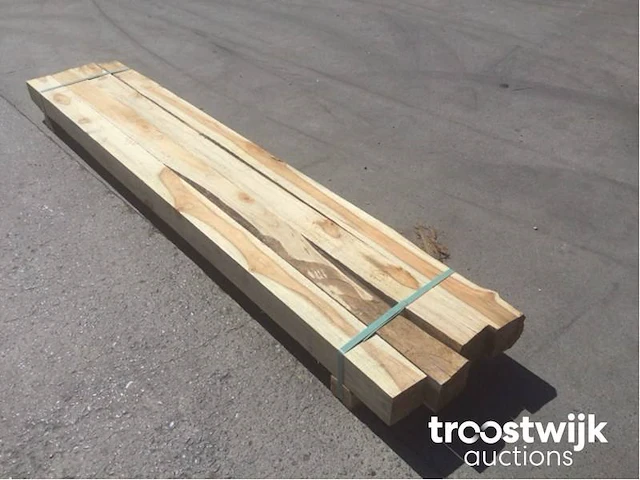 Wilde teak palen - afbeelding 1 van  7