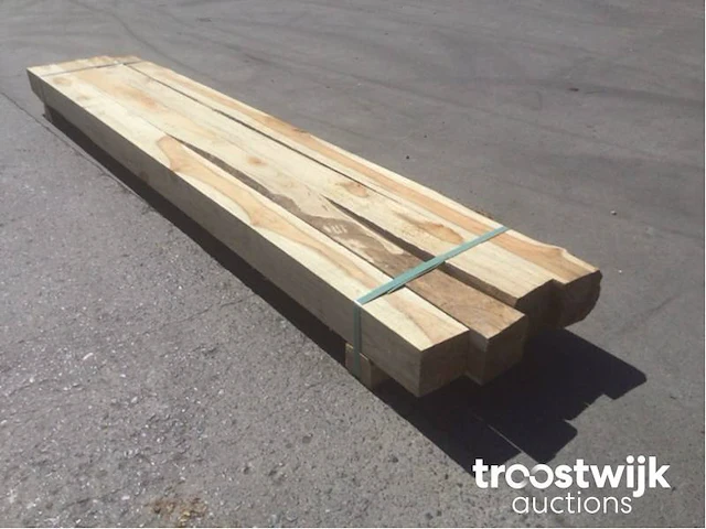 Wilde teak palen - afbeelding 2 van  7