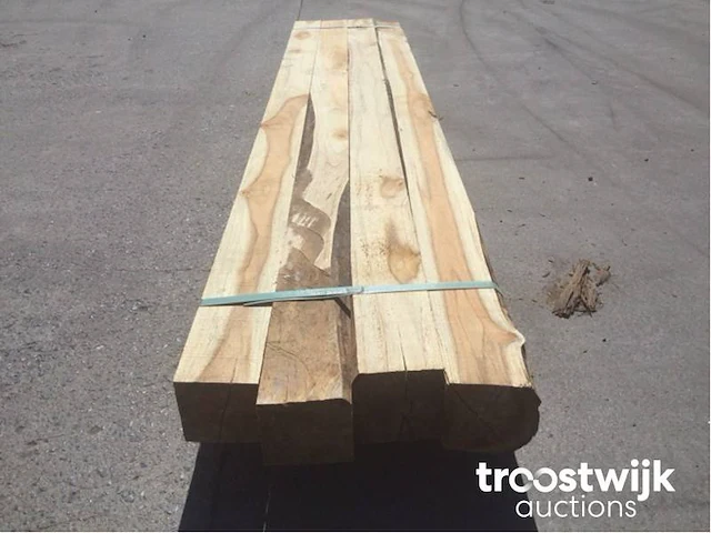 Wilde teak palen - afbeelding 3 van  7