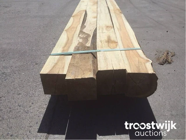 Wilde teak palen - afbeelding 4 van  7