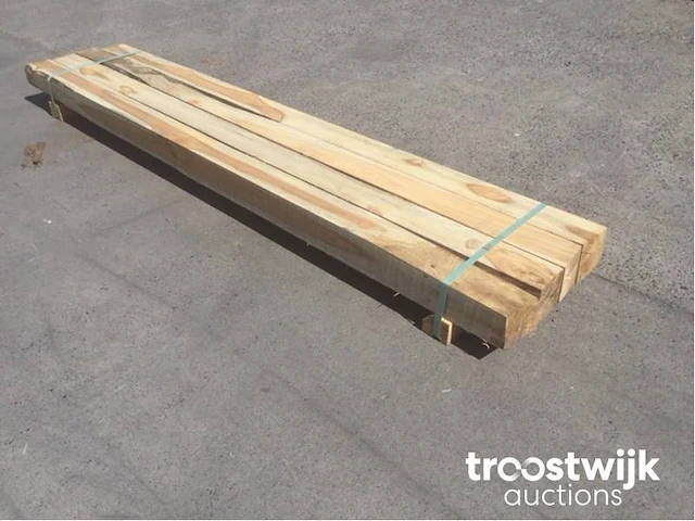 Wilde teak palen - afbeelding 6 van  7