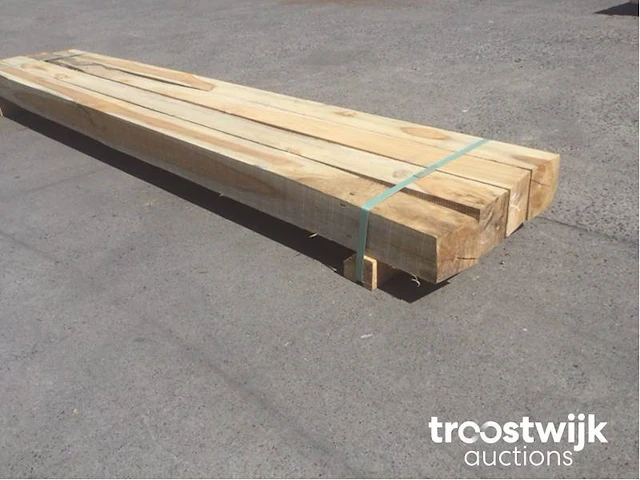 Wilde teak palen - afbeelding 7 van  7