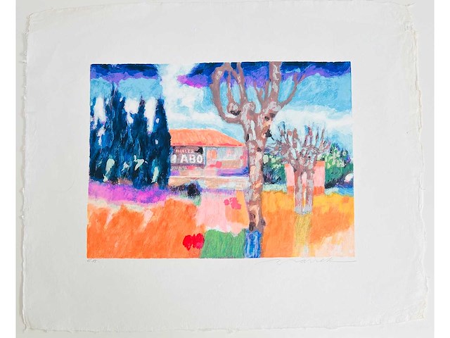 Willem brauck - landschap - kleurenzeefdruk - afbeelding 6 van  12