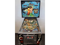 Williams - flash - flipperkast - afbeelding 3 van  10