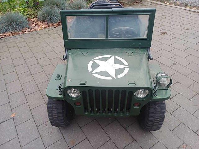 Willy op accu - afbeelding 2 van  6