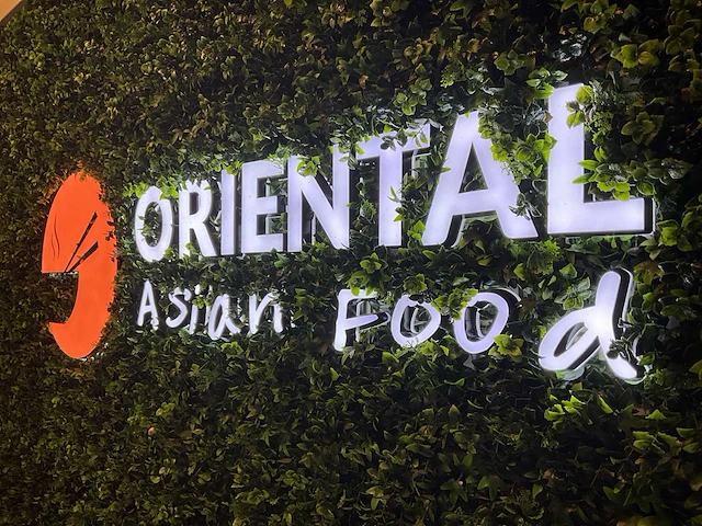 Winkelverlichting “oriental asian food” + diversen - afbeelding 4 van  9