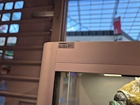Winkelvoorraad en inrichting game mania kortrijk - afbeelding 324 van  328