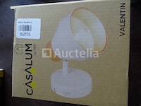 Witte schijnwerper realiteit valentin - afbeelding 1 van  3