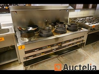 Wokfornuis in inox