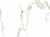 Xl calacatta gold glossy 80x80cm gerectificeerd 138,24m² - afbeelding 2 van  2