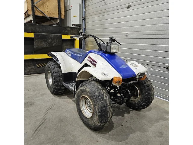 Yamaha breeze 125 atv quad - afbeelding 1 van  9