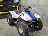 Yamaha breeze 125 atv quad - afbeelding 1 van  9