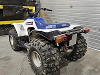 Yamaha breeze 125 atv quad - afbeelding 7 van  9