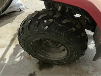 Yamaha bruin 350 quad met sproeier - afbeelding 4 van  19