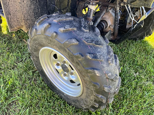 Yamaha grizzly, 2004 - afbeelding 12 van  14