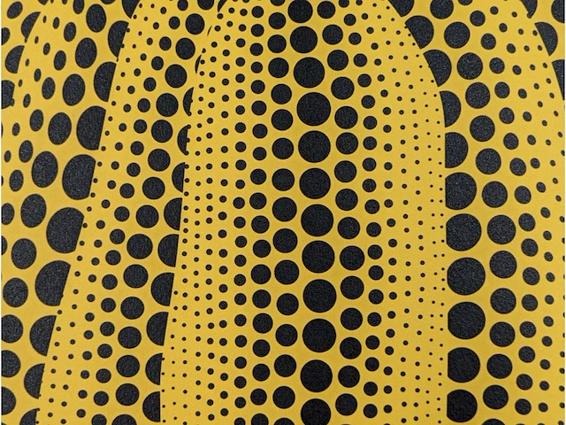 Yayoi kusama (na) - litho gesigneerd pompoenplaat - afbeelding 8 van  10
