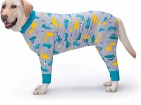 Yeapeeto dog onesie - afbeelding 1 van  4