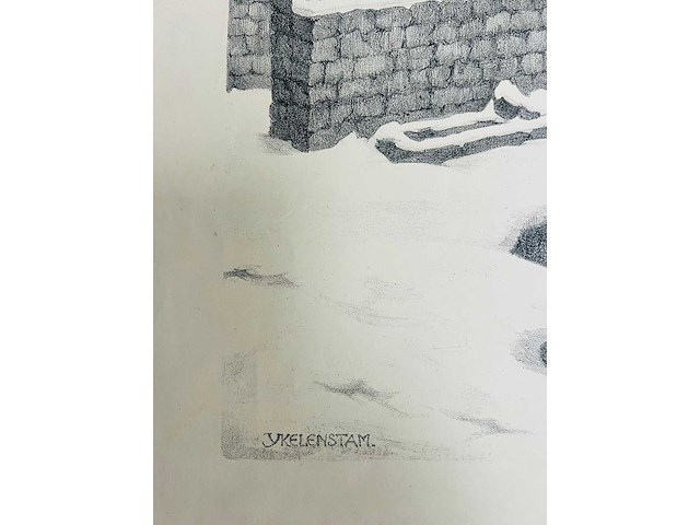 Ykelenstam - lithografie - vanaf 1 euro - afbeelding 2 van  14