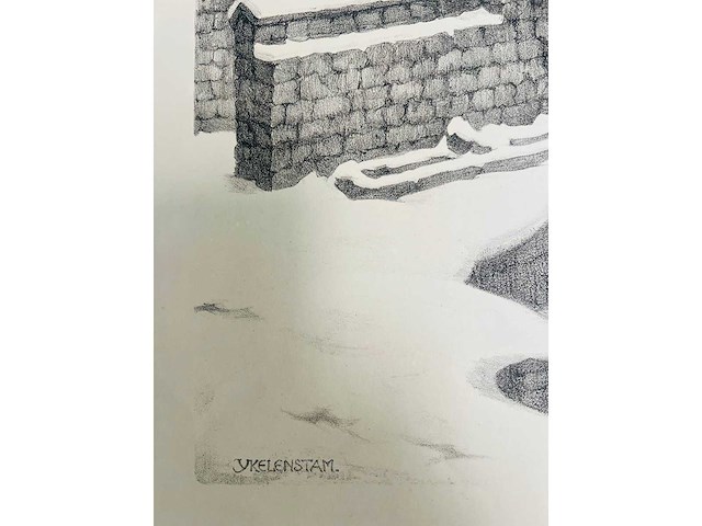 Ykelenstam - lithografie - vanaf 1 euro - afbeelding 8 van  14
