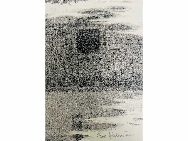 Ykelenstam - lithografie - afbeelding 3 van  7