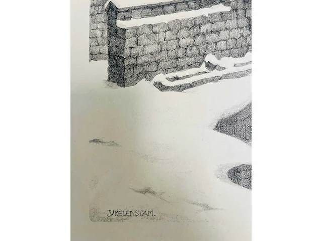 Ykelenstam - lithografie - afbeelding 4 van  7