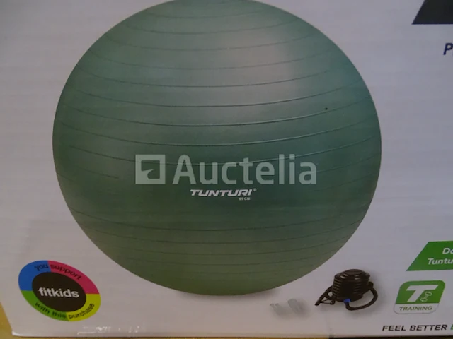 Yoga bal 65 cm - 220 kg tunturi - afbeelding 2 van  4