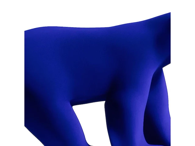 Yves klein - l'ours pompon - afbeelding 4 van  9