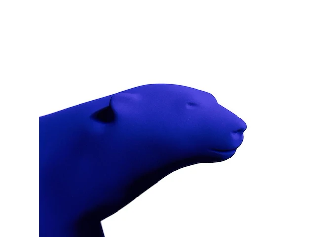 Yves klein - l'ours pompon - afbeelding 7 van  9