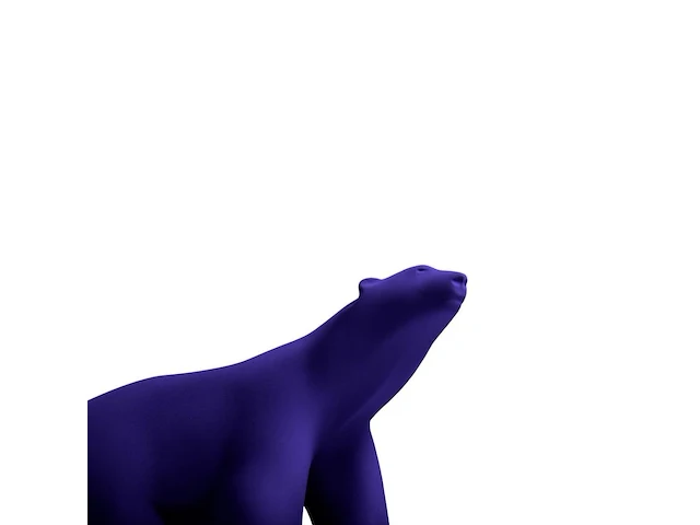 Yves klein - l'ours pompon - afbeelding 8 van  9