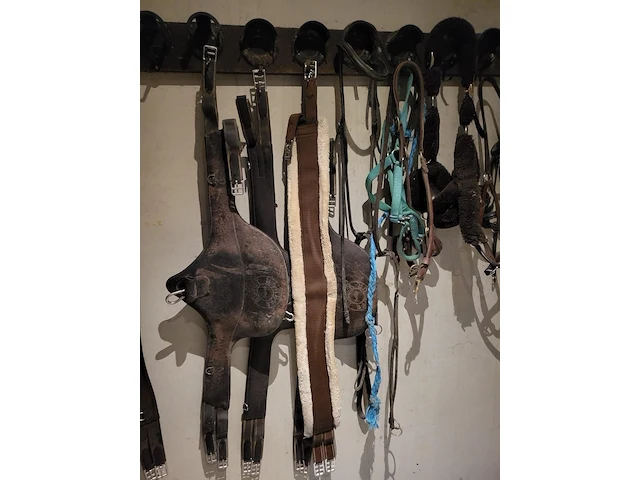 Zadel, tuigen en accessoires - afbeelding 2 van  12