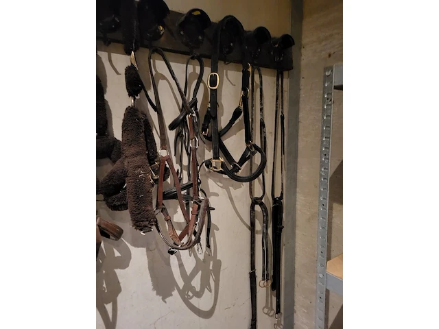 Zadel, tuigen en accessoires - afbeelding 3 van  12