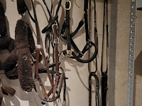Zadel, tuigen en accessoires - afbeelding 3 van  12