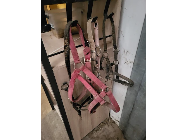 Zadel, tuigen en accessoires - afbeelding 4 van  12