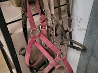 Zadel, tuigen en accessoires - afbeelding 4 van  12