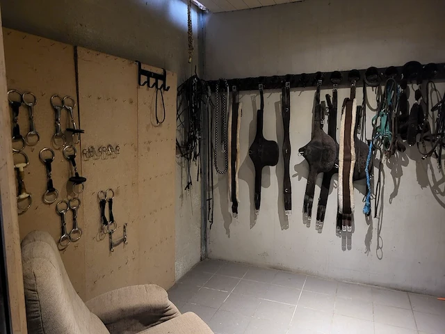 Zadel, tuigen en accessoires - afbeelding 1 van  12