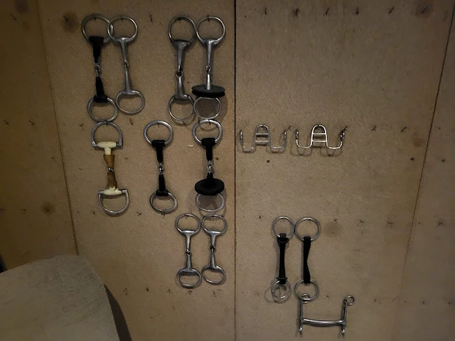 Zadel, tuigen en accessoires - afbeelding 10 van  12
