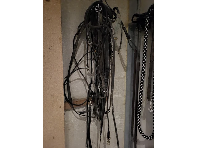 Zadel, tuigen en accessoires - afbeelding 11 van  12