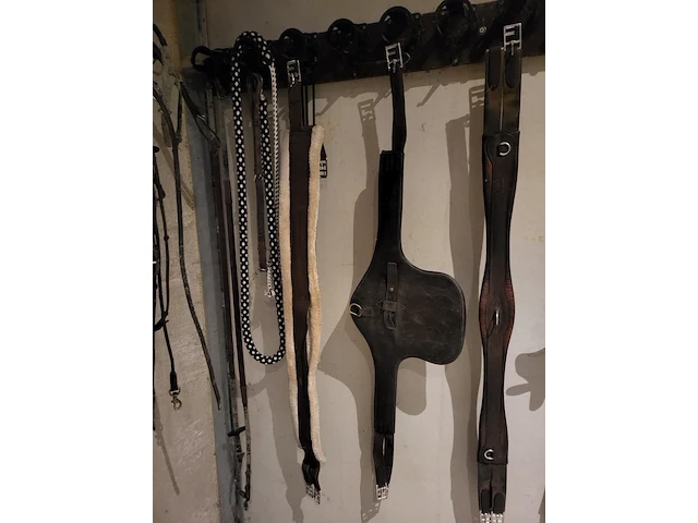 Zadel, tuigen en accessoires - afbeelding 12 van  12